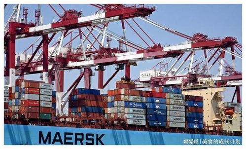 著名國際問題專家 中國應與俄羅斯拉開距離,不能站西方對立面