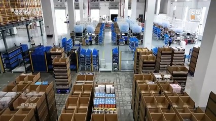 焦點訪談丨抓落實 促發展