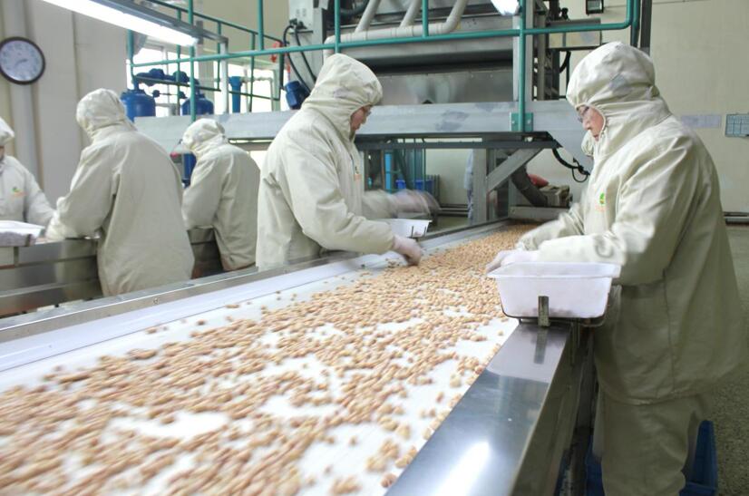 “盛產(chǎn)貸”為興城花生產(chǎn)業(yè)注入金融“活水”