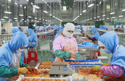 廣西靖西邊民互市貿易進口商品落地加工產值達17.8億元