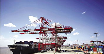 中美貿易爭端升級 印度棉出口漁翁得利