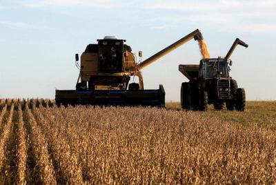 糧食安全不能卡脖子!中國大豆訂單轉向非洲,美農民:被總統害慘