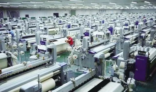 定型機只開一臺才是 真相 年底 原料迎反彈 織廠去庫存 染廠趕交期