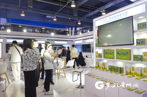 多彩貴州網(wǎng) 2024服貿(mào)會(huì)貴州館 新科技與非遺閃亮登場(chǎng)