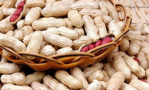 春節快來了,這10種易過敏食物最好少吃