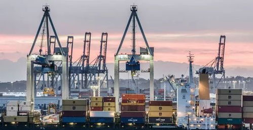 這件將給新西蘭帶來巨大經濟利益的事,你了解多少