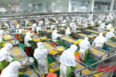 湖南果秀食品:“同線同標同質”助推農產品進入廣闊內外貿市場