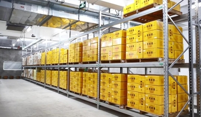 [開胃菜批發]開胃菜 湘西外婆菜大辣即食紅油醬菜 外婆青菜2斤大袋實力工廠直銷價格19元/袋