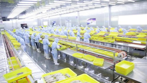 拼多多 商家權益保護委員會 推出惠商新舉措,新質供給助外貿工廠成功轉內銷