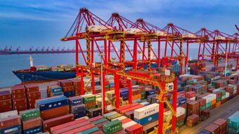 日照大商中心 打造港口客戶增值服務(wù)平臺(tái) 大宗商品貿(mào)易新生態(tài)是怎樣 煉 成的