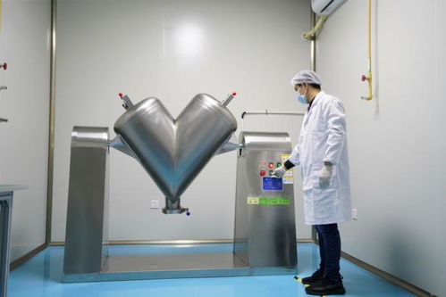 雙品牌 投資2家工廠,蓋夫內外貿布局全球