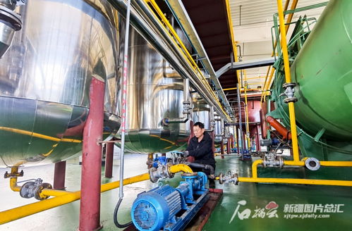 新疆 糧油深加工企業依托口岸謀發展