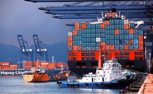 頭版報(bào)道 市屬國(guó)資國(guó)企社會(huì)責(zé)任報(bào)告發(fā)布 在全國(guó)國(guó)資系統(tǒng)尚屬首次