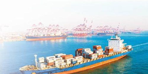 進出口總值再創紀錄 中國的購物車里有些啥