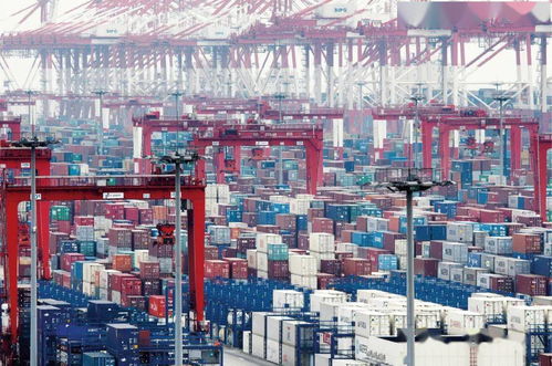 家人說加拿大疫情不靠譜,給找了一個(gè)年薪50萬的工作,我該回流嗎