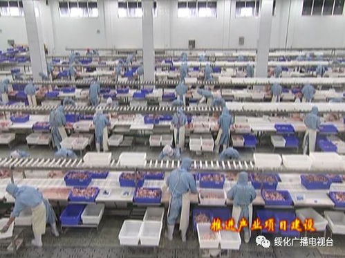 我市各地強力系統(tǒng)精準持續(xù)推進產(chǎn)業(yè)項目建設(shè) 推動經(jīng)濟社會實現(xiàn)高質(zhì)量發(fā)展