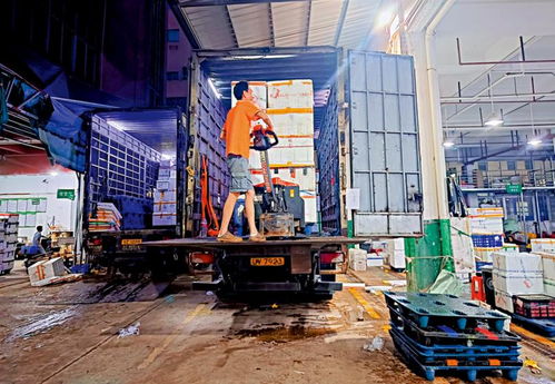 隨到隨檢 深圳保障供港鮮活產(chǎn)品順暢通關(guān)