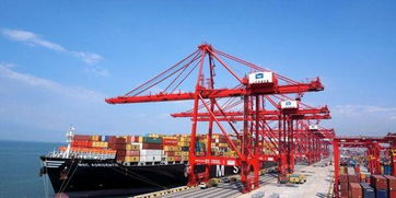 中國(guó)躍升為一帶一路沿線25國(guó)最大貿(mào)易伙伴，貿(mào)易合作成果顯著